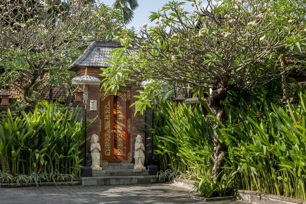 Your Gateway to Bali